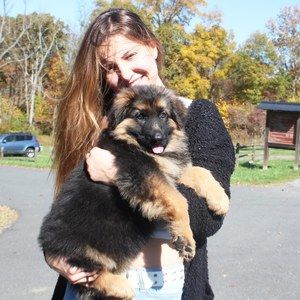 Meet your Posher, Liz